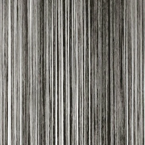 Draadjesgordijn Zwart 100x250cm