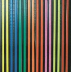 Vliegengordijn Stroken Gekleurd Met Zwart 90x200cm