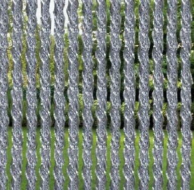 Vliegengordijn Orchidea 100x240cm (transparant) - Afbeelding 2