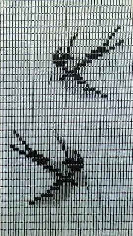 Vliegengordijn Zwaluwen Hulzen Transparant 90x210cm